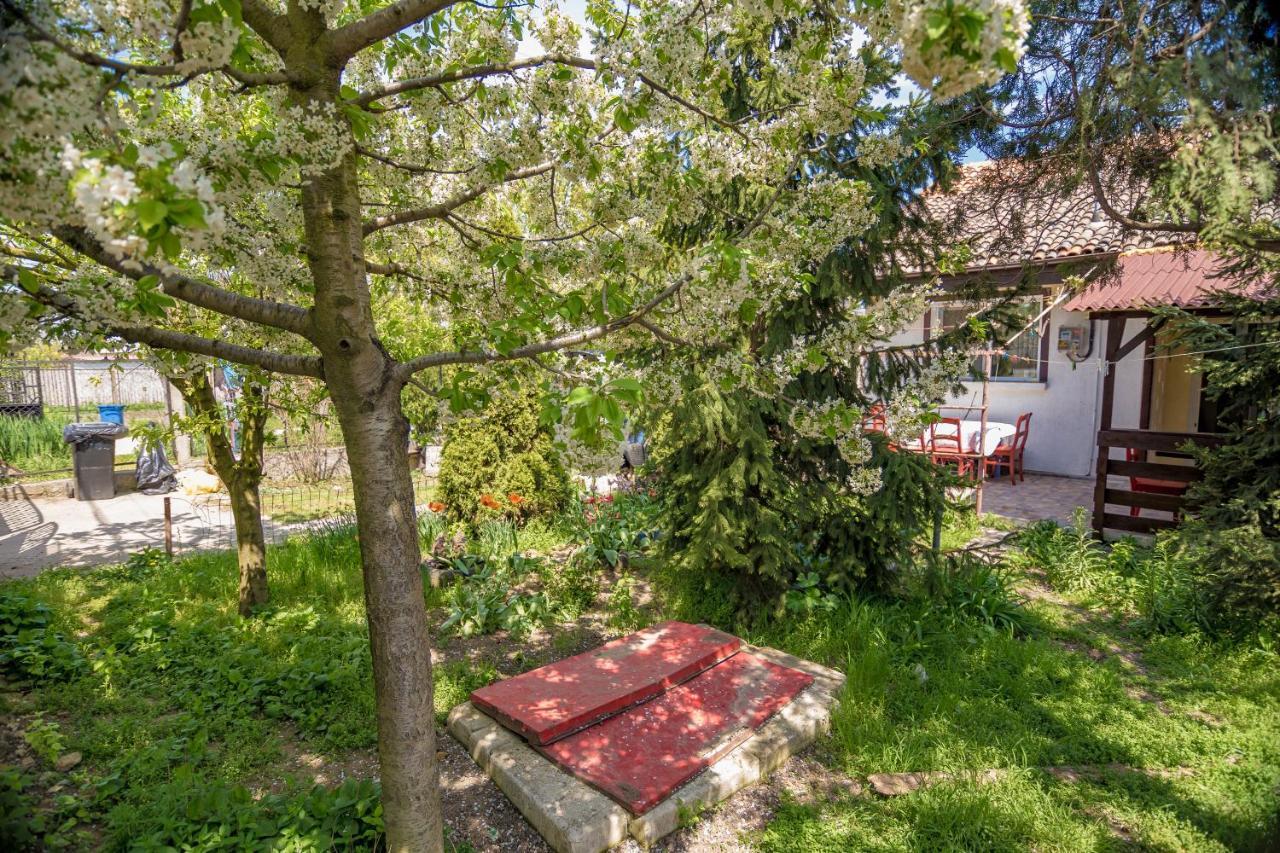 Apartmán Old House Vama Veche Exteriér fotografie